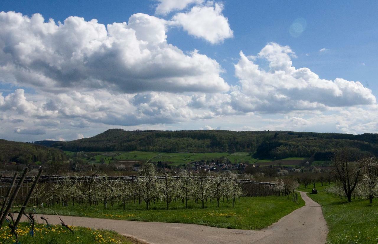 Ferienhaus Suedbaden Villa Schliengen Exteriör bild